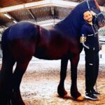 Essam Elsakka Instagram - #horse #horses #horsesofinstagram #equestrian #horseriding #equine #pony #pferd #equestrianlife #horselove #dressage #horselover #instahorse #love #cheval #showjumping #horselife #photography #pferde #horseofinstagram #caballo #riding #pferdeliebe #caballos #horsepower #horsephotography #instagram #cavalo #2023 #newyear