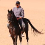 Essam Elsakka Instagram - #horse #horses #horsesofinstagram #equestrian #horseriding #equine #pony #pferd #equestrianlife #horselove #dressage #horselover #instahorse #love #cheval #showjumping #horselife #photography #nature #pferde #horseofinstagram #caballo #riding #horsebackriding #pferdeliebe #caballos #horsepower #horsephotography #instagram #cavalo @aljwharahorse