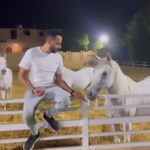Essam Elsakka Instagram - 🏇🐎💚 #horse #horses #horsesofinstagram #equestrian #horseriding #equine #pony #pferd #equestrianlife #horselove #dressage #horselover #instahorse #love #cheval #showjumping #horselife #photography #nature #pferde #horseofinstagram #caballo #riding #horsebackriding #pferdeliebe #caballos #horsepower #horsephotography #instagram #cavalo