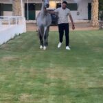 Essam Elsakka Instagram - ❤️🐴