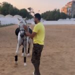 Essam Elsakka Instagram -