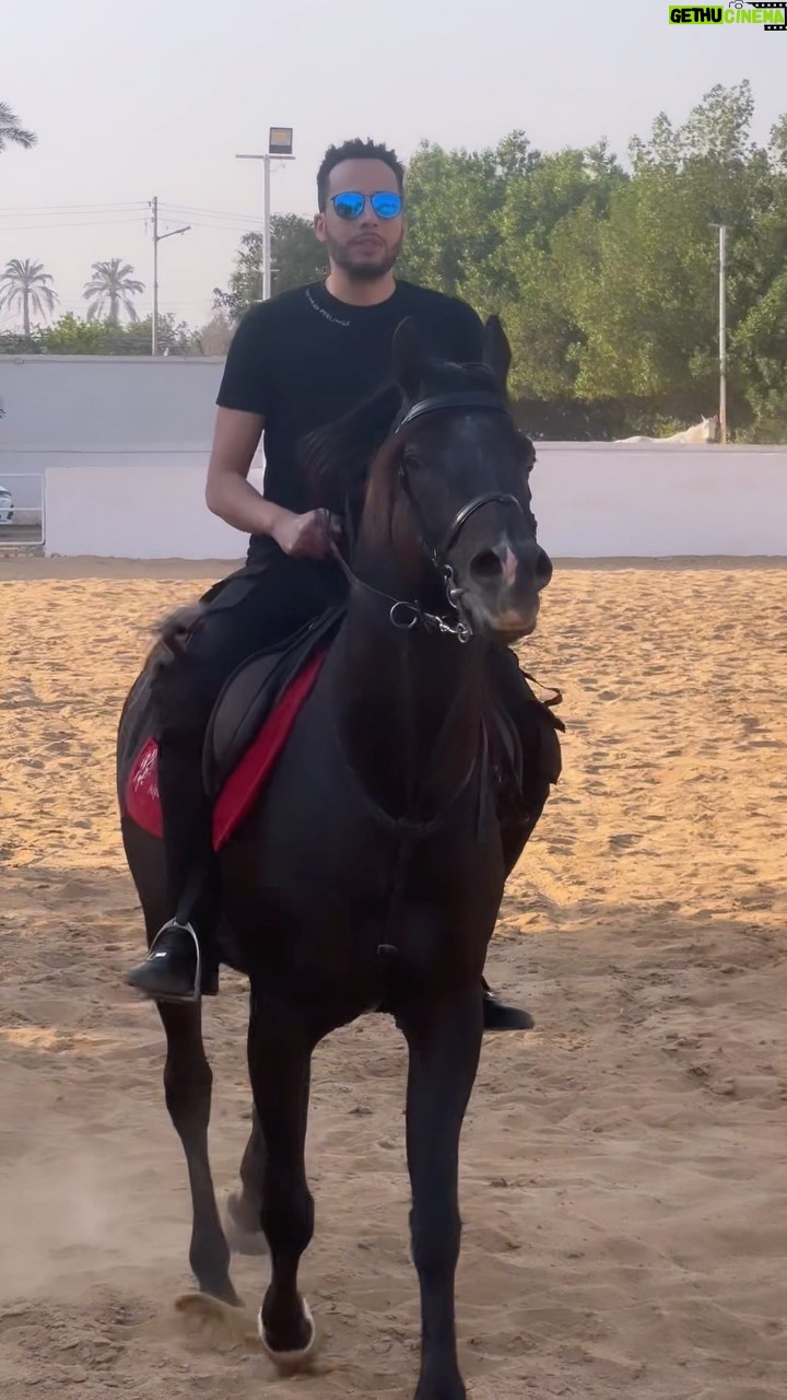Essam Elsakka Instagram - #lovely #horse ✌️🐴