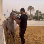 Essam Elsakka Instagram - #horse 🐎💚