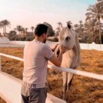 Essam Elsakka Instagram - #horse #horseriding #horsepower #horses