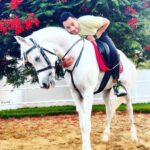 Essam Elsakka Instagram - #horse 💚🐎