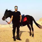 Essam Elsakka Instagram - #love #horsetagram #horsetrainer #horserace #horseshows #essamelsaka 💚💚