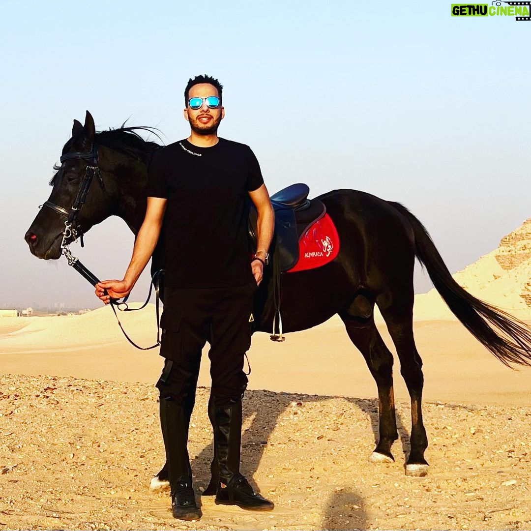 Essam Elsakka Instagram - #love #horsetagram #horsetrainer #horserace #horseshows #essamelsaka 💚💚