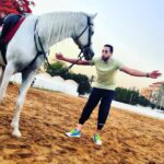 Essam Elsakka Instagram - #horse 💚🐎