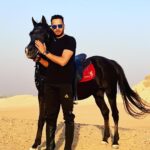 Essam Elsakka Instagram - #love #horsetagram #horsetrainer #horserace #horseshows #essamelsaka 💚💚