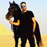 Essam Elsakka Instagram - #love #horsetagram #horsetrainer #horserace #horseshows #essamelsaka 💚💚