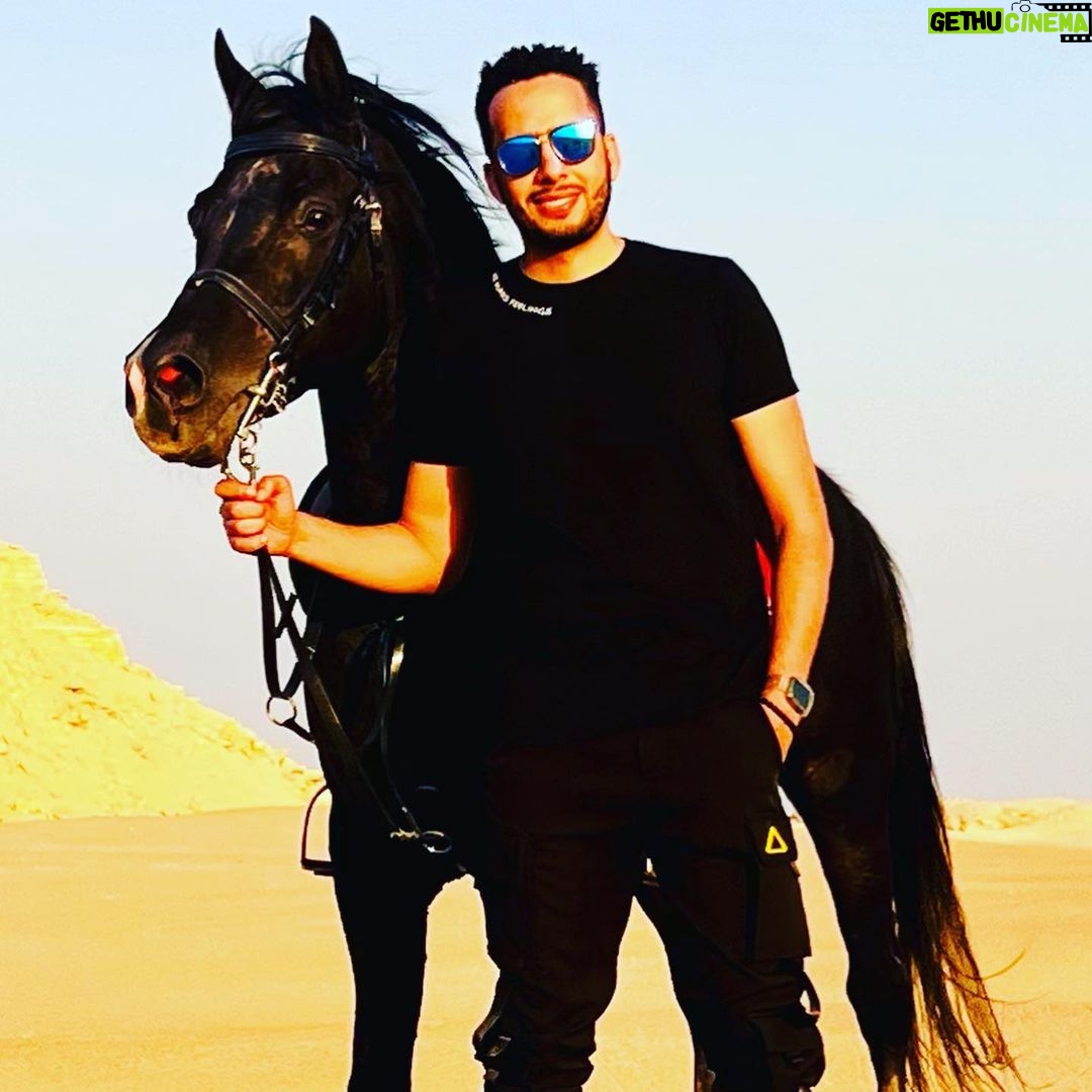 Essam Elsakka Instagram - #love #horsetagram #horsetrainer #horserace #horseshows #essamelsaka 💚💚