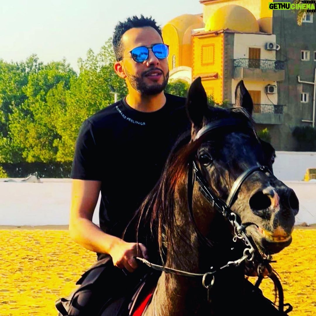 Essam Elsakka Instagram - #love #horsetagram #horsetrainer #horserace #horseshows #essamelsaka 💚💚