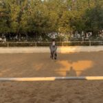 Essam Elsakka Instagram - 💚💚💚 🐎