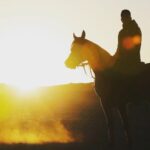 Essam Elsakka Instagram - #horse #horses #horsesofinstagram #equestrian #horseriding #equine #pony #pferd #equestrianlife #horselove #dressage #horselover #instahorse #love #cheval #showjumping #photography #horselife #nature #pferde #horseofinstagram #caballo #horsebackriding #riding #pferdeliebe #caballos #horsephotography #instagram #cavalo #bhfyp