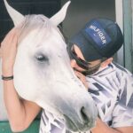 Essam Elsakka Instagram - #horse #horses #horsesofinstagram #equestrian #horseriding #equine #pony #pferd #equestrianlife #dressage #horselove #instahorse #horselover #love #showjumping #cheval #horselife #photography #nature #horseofinstagram #pferde #caballo #riding #horsebackriding #caballos #pferdeliebe #horsephotography #cavalo #instagram #bhfyp