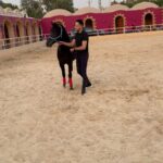 Essam Elsakka Instagram - 🐎💚