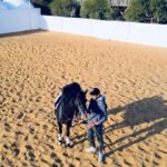Essam Elsakka Instagram - #horses #horse #horsesofinstagram #equestrian #horseriding #equine #equestrianlife #dressage #pony #horselove #horselover #showjumping #pferd #instahorse #caballos #love #horselife #pferde #horsebackriding #photography #cheval #riding #nature #caballo #equestrianstyle #instagram #horseofinstagram #horsephotography #ponies #bhfyp