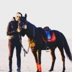 Essam Elsakka Instagram - #horse #horses #horsesofinstagram #equestrian #horseriding #equine #pony #pferd #equestrianlife #horselove #dressage #horselover #instahorse #love #cheval #showjumping #photography #horselife #nature #pferde #horseofinstagram #caballo #horsebackriding #riding #pferdeliebe #caballos #horsephotography #instagram #cavalo #bhfyp