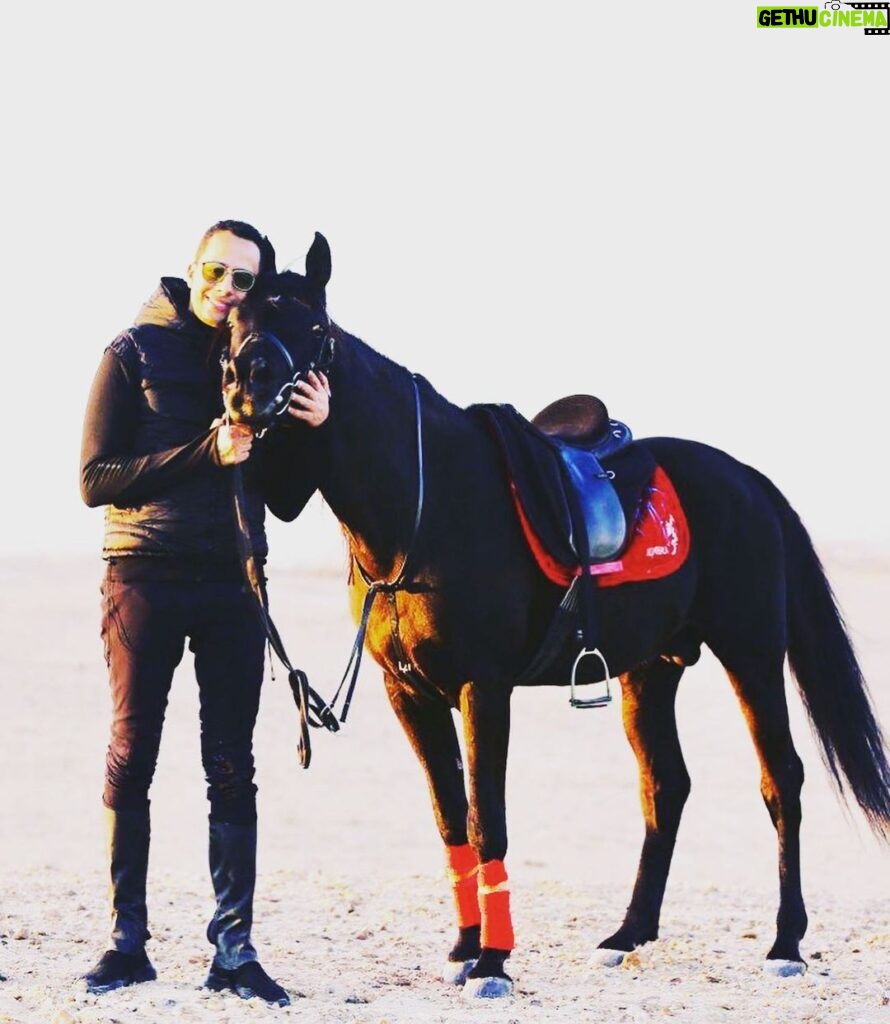 Essam Elsakka Instagram - #horse #horses #horsesofinstagram #equestrian #horseriding #equine #pony #pferd #equestrianlife #horselove #dressage #horselover #instahorse #love #cheval #showjumping #photography #horselife #nature #pferde #horseofinstagram #caballo #horsebackriding #riding #pferdeliebe #caballos #horsephotography #instagram #cavalo #bhfyp