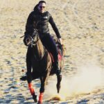 Essam Elsakka Instagram - #horse #horses #horsesofinstagram #equestrian #horseriding #equine #pony #pferd #equestrianlife #horselove #dressage #horselover #instahorse #love #cheval #showjumping #photography #horselife #nature #pferde #horseofinstagram #caballo #horsebackriding #riding #pferdeliebe #caballos #horsephotography #instagram #cavalo #bhfyp