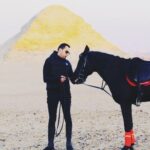Essam Elsakka Instagram - #horse #horses #horsesofinstagram #equestrian #horseriding #equine #pony #pferd #equestrianlife #horselove #dressage #horselover #instahorse #love #cheval #showjumping #photography #horselife #nature #pferde #horseofinstagram #caballo #horsebackriding #riding #pferdeliebe #caballos #horsephotography #instagram #cavalo #bhfyp