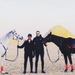 Essam Elsakka Instagram - #horse #horses #horsesofinstagram #equestrian #horseriding #equine #pony #pferd #equestrianlife #horselove #dressage #horselover #instahorse #love #cheval #showjumping #photography #horselife #nature #pferde #horseofinstagram #caballo #horsebackriding #riding #pferdeliebe #caballos #horsephotography #instagram #cavalo #bhfyp