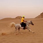 Essam Elsakka Instagram - #horse #love 💙🐎🏇