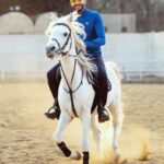 Essam Elsakka Instagram - 🐴🐴 #horse #horses #horseriding #horselove #horselovers @aljawhara_stud @abdo.elfeky.ph