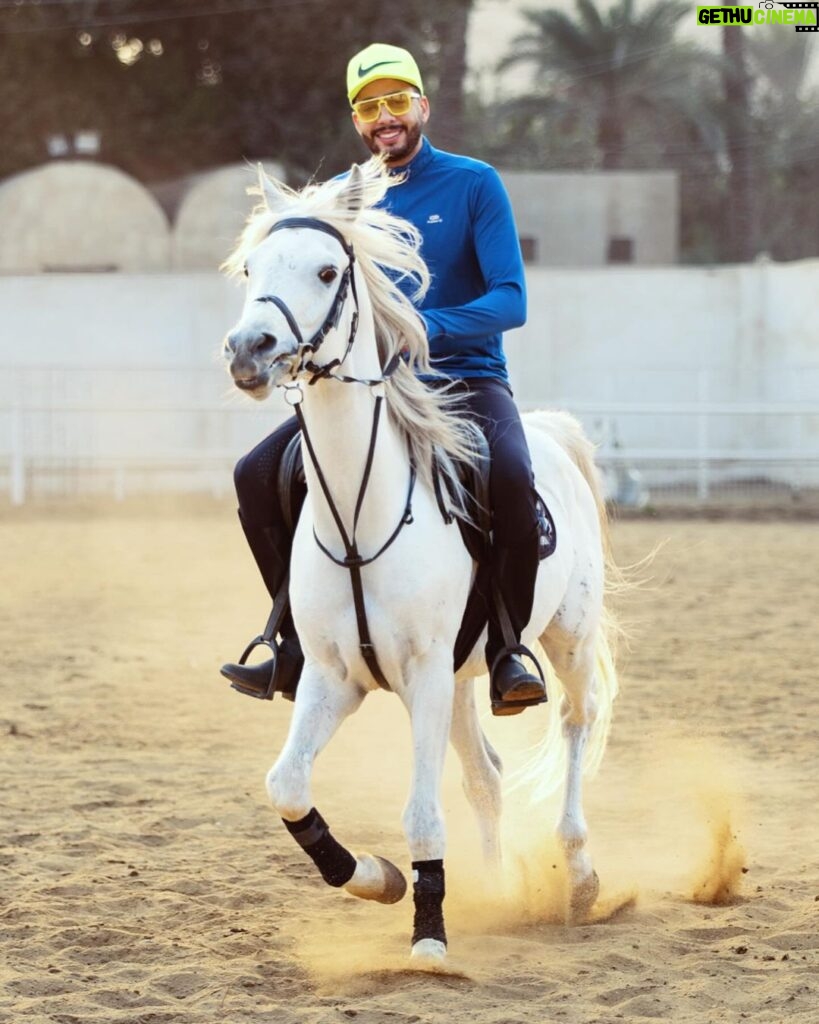Essam Elsakka Instagram - 🐴🐴 #horse #horses #horseriding #horselove #horselovers @aljawhara_stud @abdo.elfeky.ph