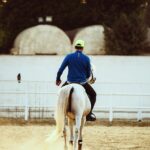 Essam Elsakka Instagram - 🐴🐴 #horse #horses #horseriding #horselove #horselovers @aljawhara_stud @abdo.elfeky.ph