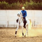 Essam Elsakka Instagram - 🐴🐴 #horse #horses #horseriding #horselove #horselovers @aljawhara_stud @abdo.elfeky.ph
