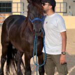 Essam Elsakka Instagram - 🐴🖤 #horse #horses #horsesofinstagram #equestrian #horseriding #equine #pony #pferd #equestrianlife #horselove #dressage #horselover #instahorse #love #cheval #showjumping #horselife #photography #nature #pferde #horseofinstagram #caballo #riding #horsebackriding #pferdeliebe #caballos #horsepower #horsephotography #instagram #cavalo