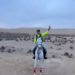 Essam Elsakka Instagram - ❤️🐴❤️ #horse #horses #horsesofinstagram #equestrian #horseriding #equine #pony #pferd #equestrianlife #horselove #dressage #horselover #instahorse #love #cheval #showjumping #horselife #photography #nature #pferde #horseofinstagram #caballo #riding #horsebackriding #pferdeliebe #caballos #horsepower #essamelsaka #essamelsakka