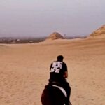 Essam Elsakka Instagram - #horse #horses #horsesofinstagram #equestrian #horseriding #equine #pony #pferd #equestrianlife #horselove #dressage #horselover #instahorse #love #cheval #showjumping #horselife #photography #nature #pferde #horseofinstagram #caballo #riding #horsebackriding #pferdeliebe #caballos #instagram #cavalo ❤️🐎🐎 #essamelsaka #essamelsakkaa