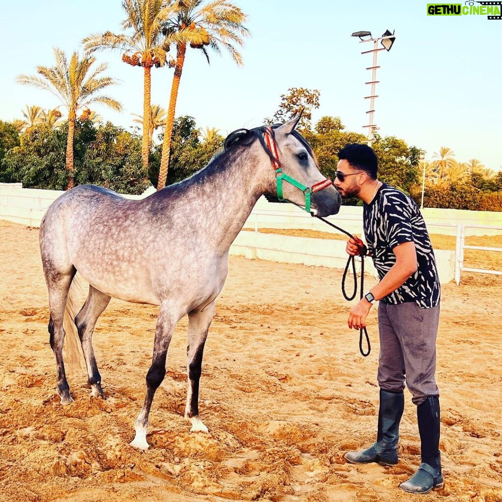 Essam Elsakka Instagram - #horse ❤️🐎❤️