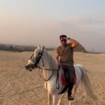 Essam Elsakka Instagram - #egypt #horse ❤️🐴
