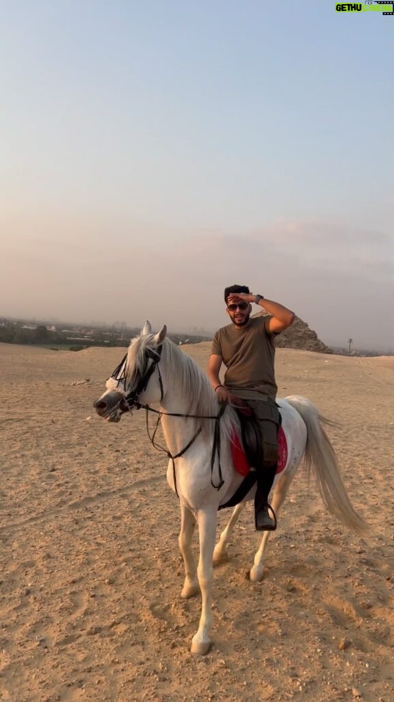 Essam Elsakka Instagram - #egypt #horse ❤🐴
