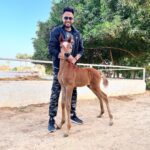 Essam Elsakka Instagram - نعيم ❤️🐴 ماشاءالله تبارك الله
