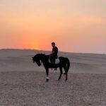 Essam Elsakka Instagram - ❤️🤗🐴🐴