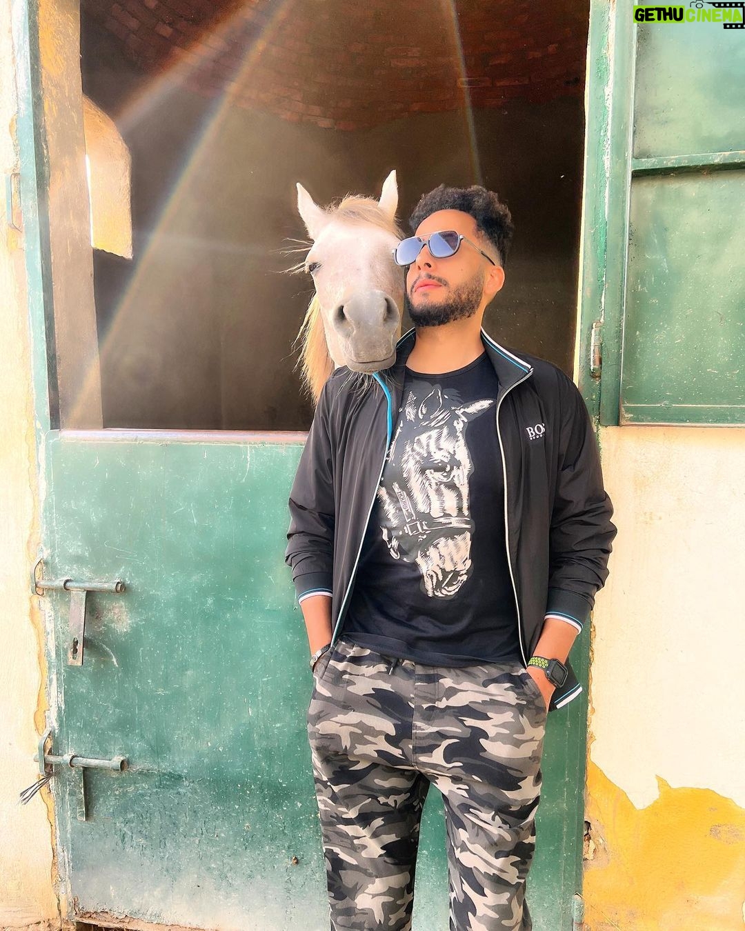 Essam Elsakka Instagram - ❤️ 🐴🐴 #horse #horses #horsesofinstagram #equestrian #horseriding #equine #pony #pferd #equestrianlife #horselove #dressage #horselover #instahorse #love #cheval #showjumping #horselife #photography #nature #pferde #horseofinstagram #caballo #riding #horsebackriding #pferdeliebe #caballos #horsepower #horsephotography #instagram #cavalo