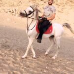 Essam Elsakka Instagram -
