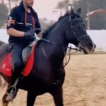 Essam Elsakka Instagram – #horse #horses ##equestrian #horseriding #equine #pony #equestrianlife #horselove #dressage #horselover #instahorse #love #cheval #showjumping #horselife #photography #nature #pferde ##caballo #riding #horsebackriding #pferdeliebe #caballos #horsepower #horsephotography #cavalo #عصام_السقا  #essamelsakkaa #essamelsaka