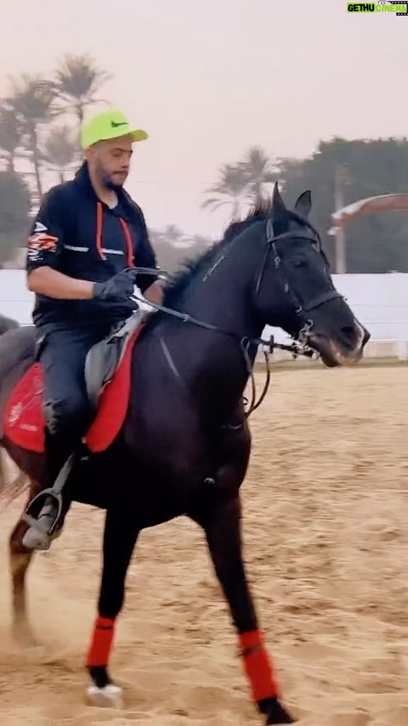 Essam Elsakka Instagram - #horse #horses ##equestrian #horseriding #equine #pony #equestrianlife #horselove #dressage #horselover #instahorse #love #cheval #showjumping #horselife #photography #nature #pferde ##caballo #riding #horsebackriding #pferdeliebe #caballos #horsepower #horsephotography #cavalo #عصام_السقا #essamelsakkaa #essamelsaka