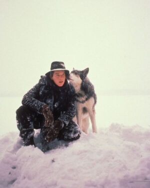 Ethan Hawke Instagram - Two of my all-time favorite scene partners: Jed and Jumpy. #WhiteFang #InTheValleyOfViolence #NationalDogDay
