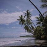 Ethan Torchio Instagram - I lived in Costa Rica for three years of my life when I was younger. This year, destiny told me it was time to come back. After 12 years since the last time I’ve been there, I can definitely tell it was the right choice, and pretty intense as well. All my love goes to nature untouched by humans 🌎