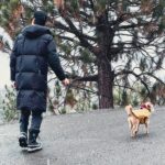 Eugene Lee Yang Instagram - Gamemakers put snow in the Quarter Quell, so I was the first one out. All the hot weather tributes turned into baby deer on the ice as cold district folk triple axeled the competition. Happy holidays y’all, from my bruised ass! 🥶
