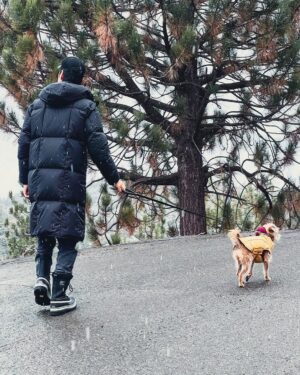 Eugene Lee Yang Instagram - Gamemakers put snow in the Quarter Quell, so I was the first one out. All the hot weather tributes turned into baby deer on the ice as cold district folk triple axeled the competition. Happy holidays y’all, from my bruised ass! 🥶