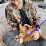 Eugene Lee Yang Instagram - Video dump of a year of love and laughs with this wacky little guy, including when we rescued him! Couldn’t imagine life without him. Pandemic adoptions are being returned to shelters in record numbers - please encourage others to find successful workarounds to keep their pets! #adoptdontshop