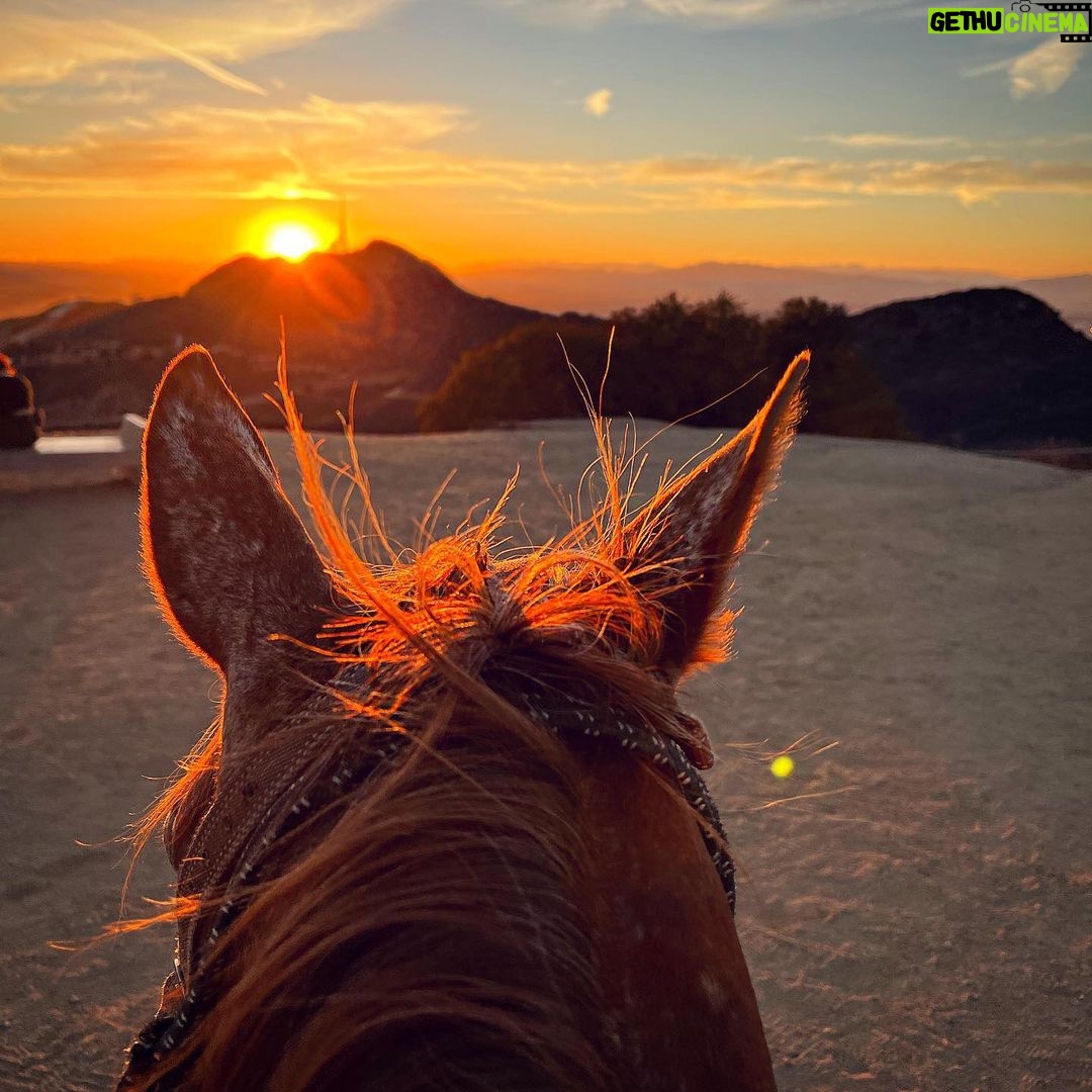 Eugenio Siller Instagram - Amazing day with friends and horses … 🐴 ☀️ / Día increíble con amigos y caballos … Hollywood Sign Scenic View