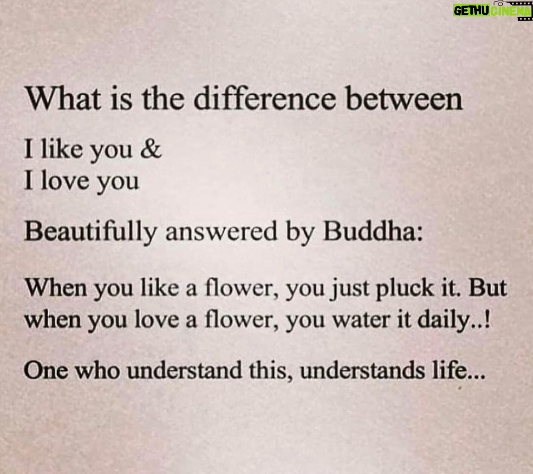 Eva Marcille Instagram - 💭 of a Sunflower🌻